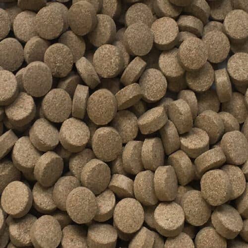 Fischfutter - Food Pro Tabs - Amtra