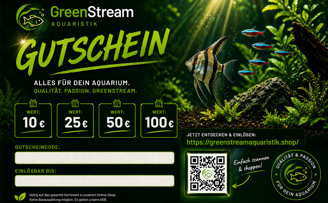 GreenStreamAquaristik-Gutschein