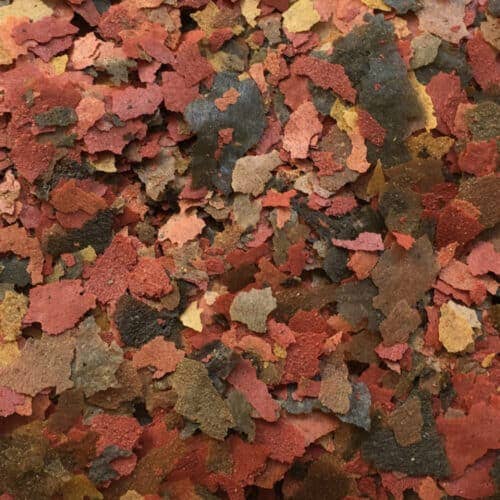 Fischfutter - Pro Flake Feed von Amtra